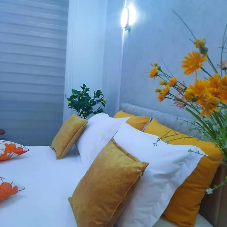 Bani's Cozy Lovely Apartament Tirana