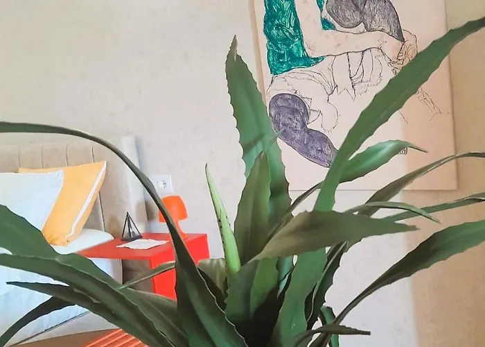 Bani's Cozy Lovely Διαμέρισμα