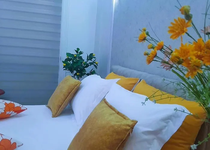 Bani's Cozy Lovely 公寓 地拉那